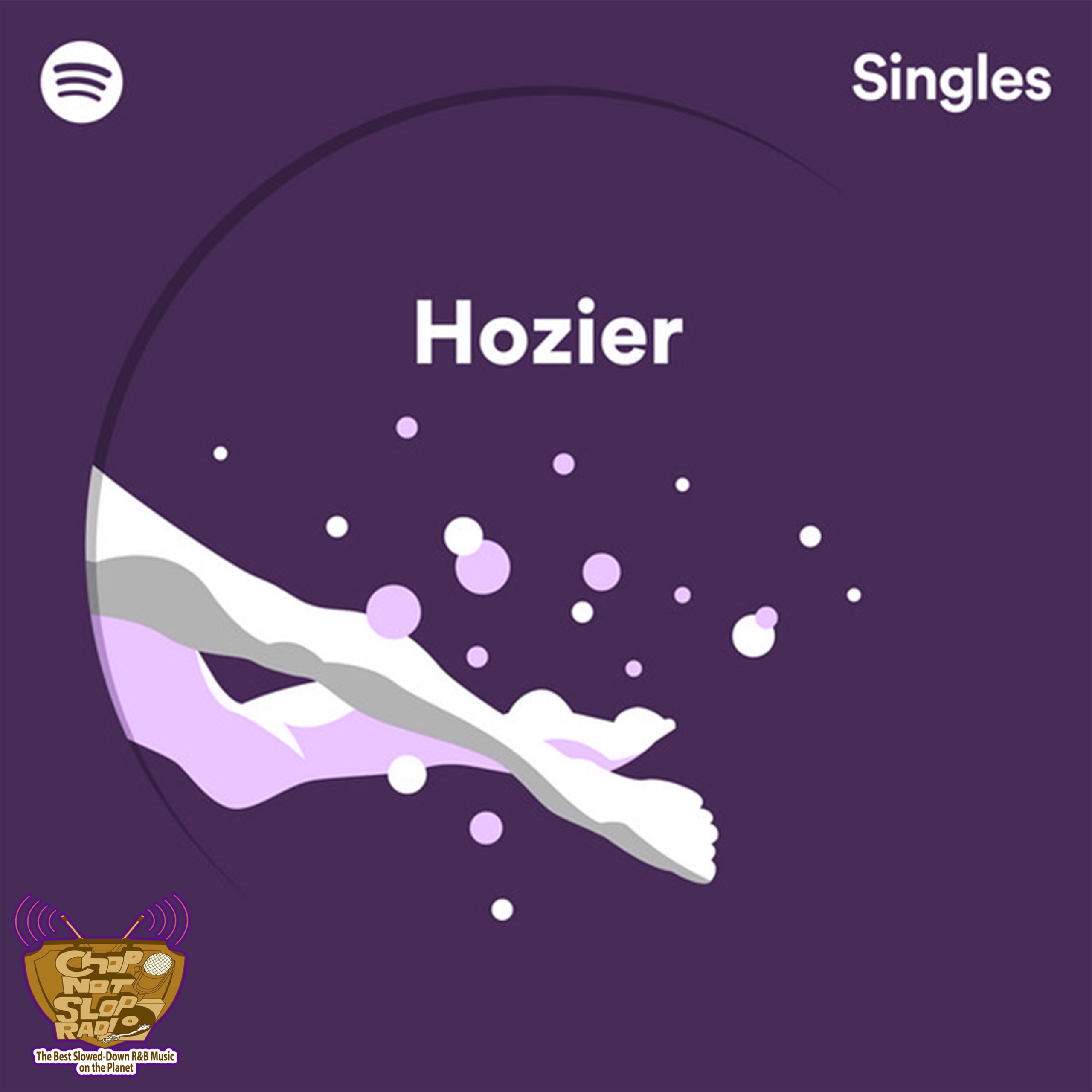 Hozier – Say My Name (ChopNotSlop)
